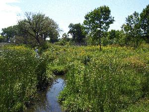 Woods Creek Picture