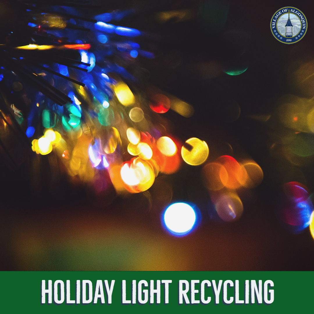 Holiday Lights
