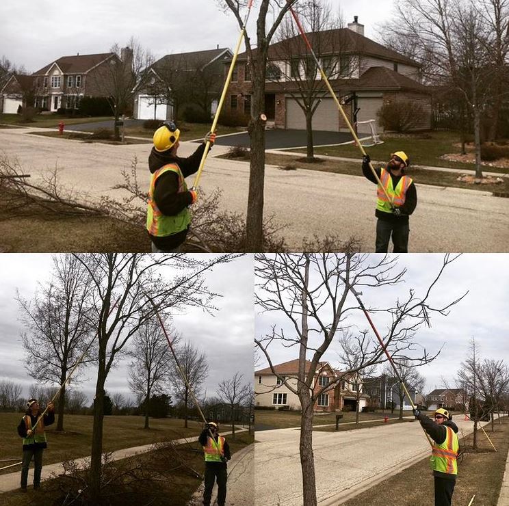 Algonquin, IL / Public Works