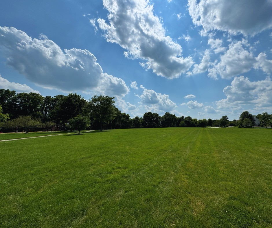 field