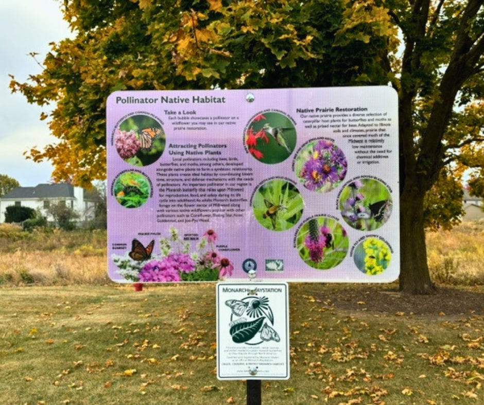pollinator