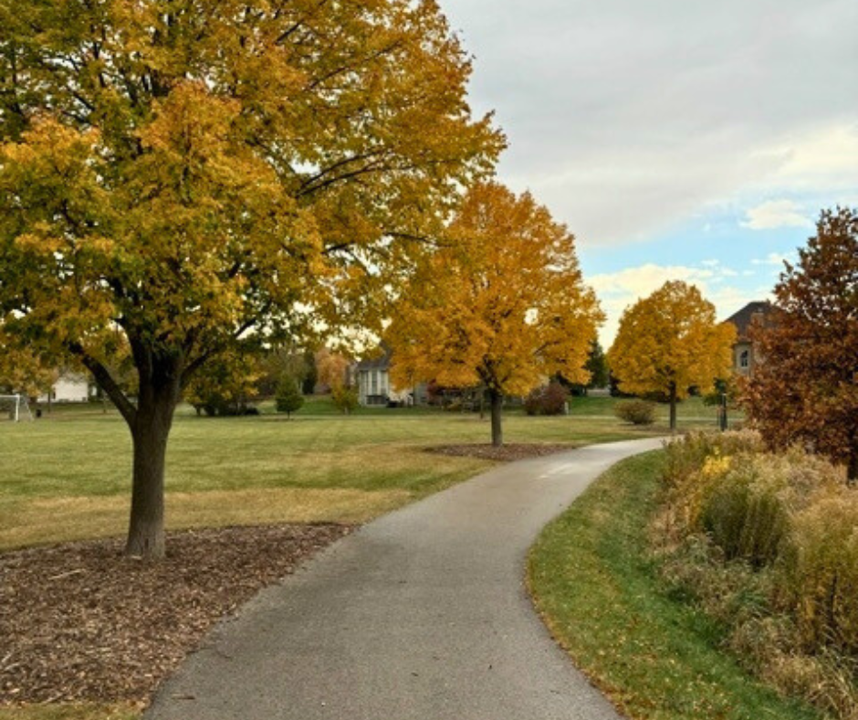 trail