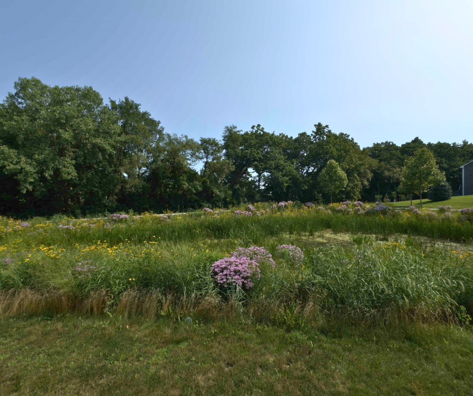 natural area