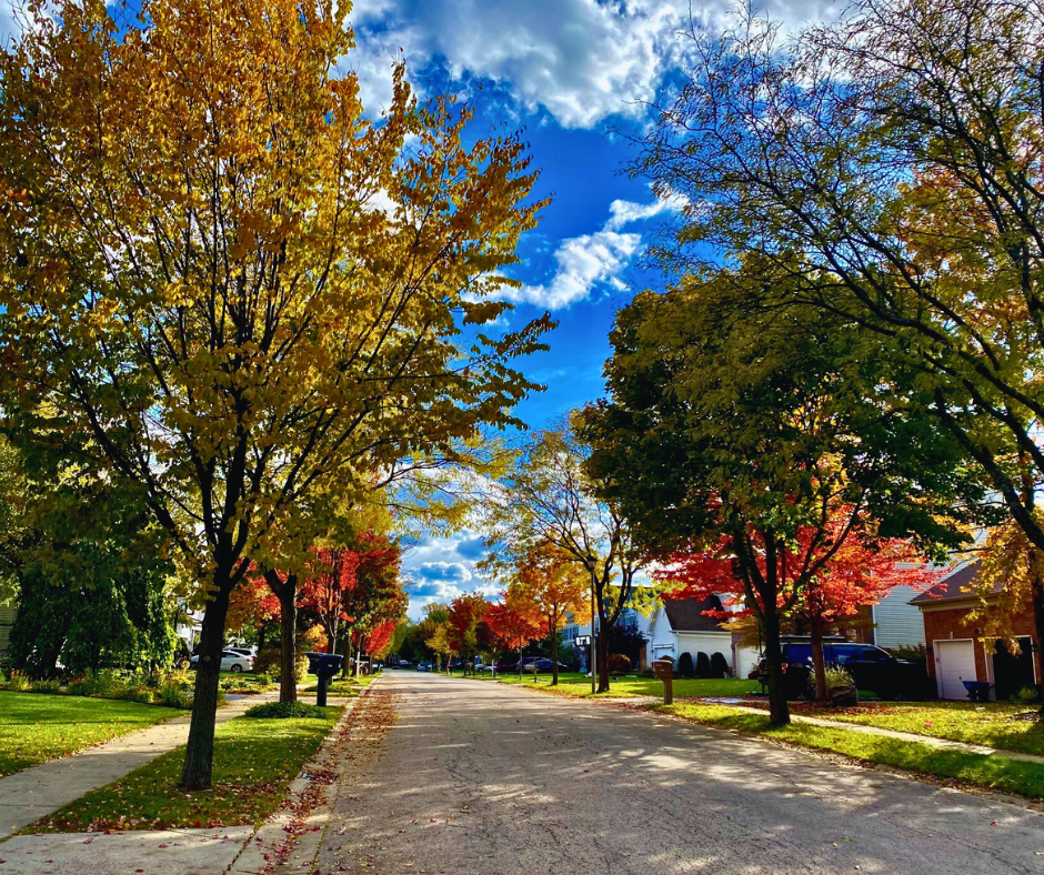 neighborhood