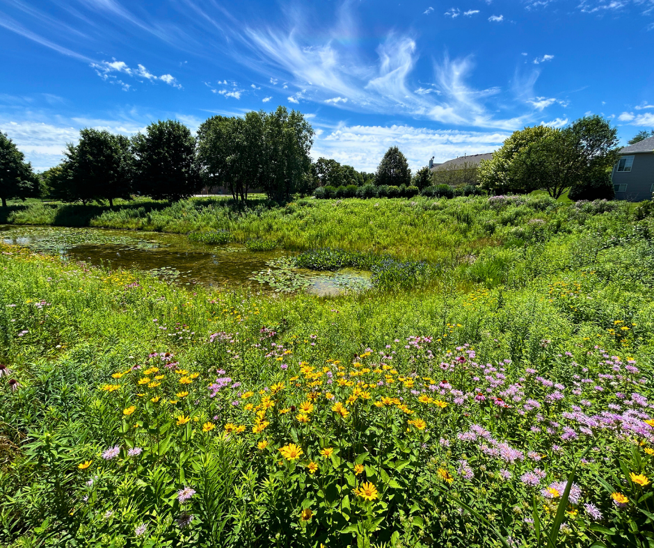 natural area