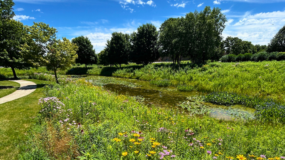 detention basin