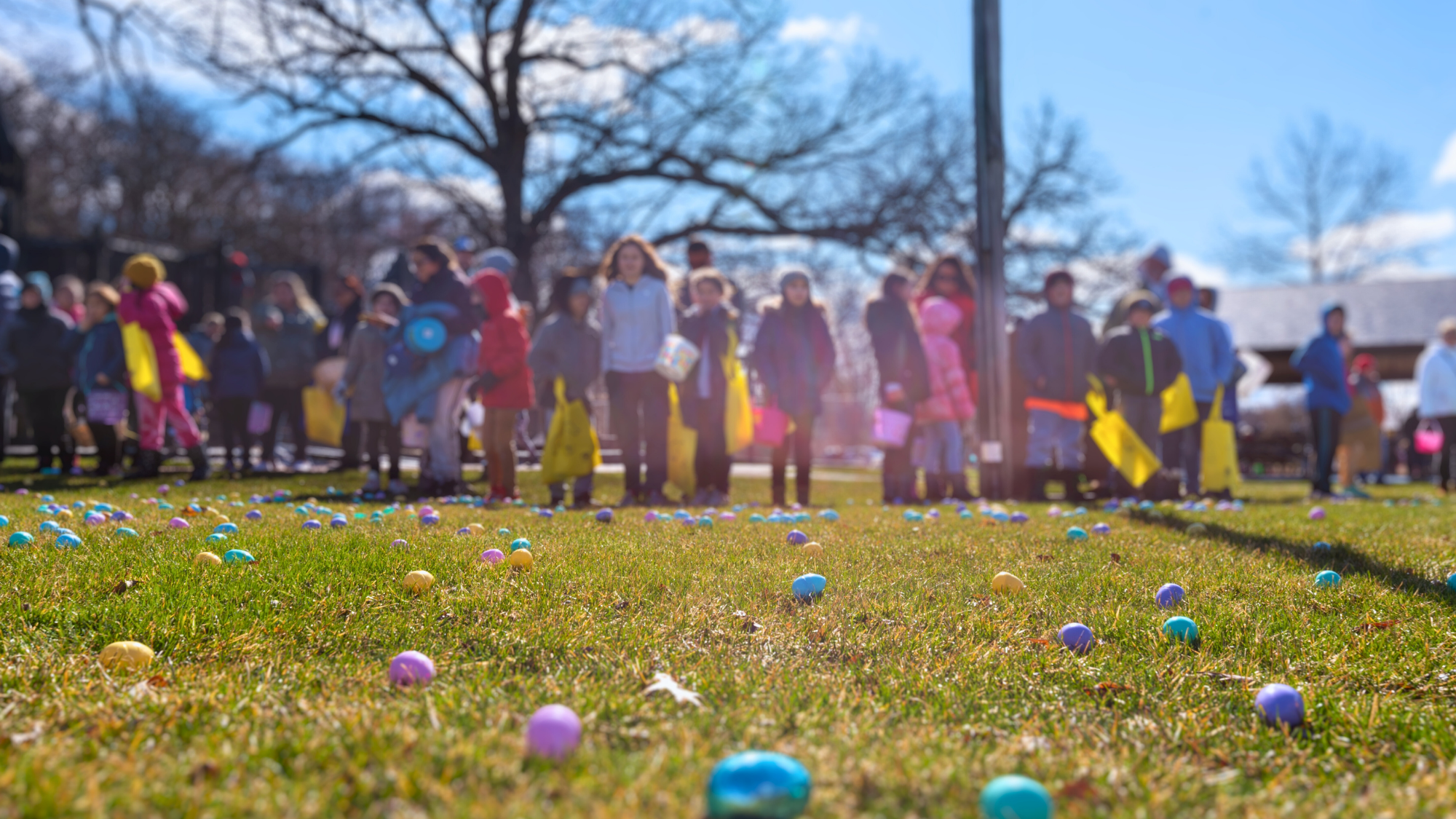Algonquin <br/> Egg Hunt