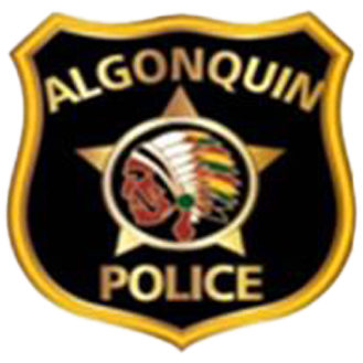 Residential Burglary/Motor Vehicle Theft Investigation