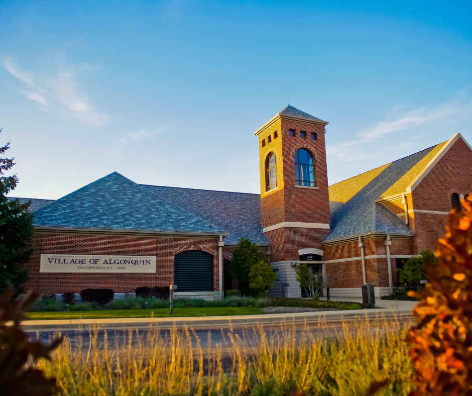 Election Information